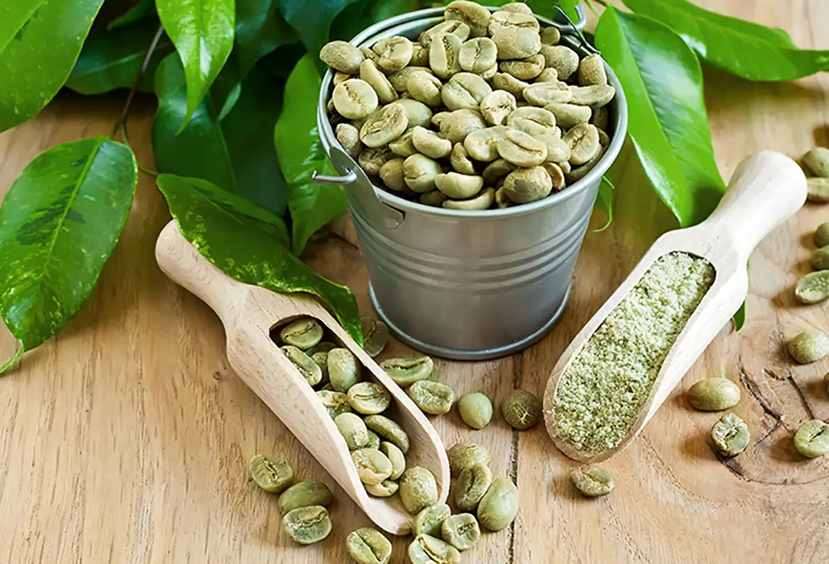 طریقه مصرف قهوه سبز برای لاغری شکم